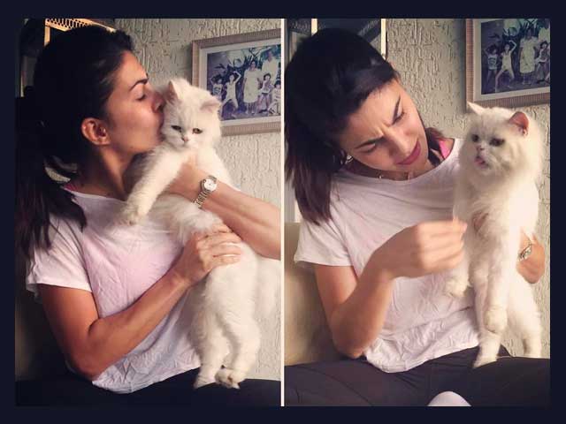 Jacqueline with Cat