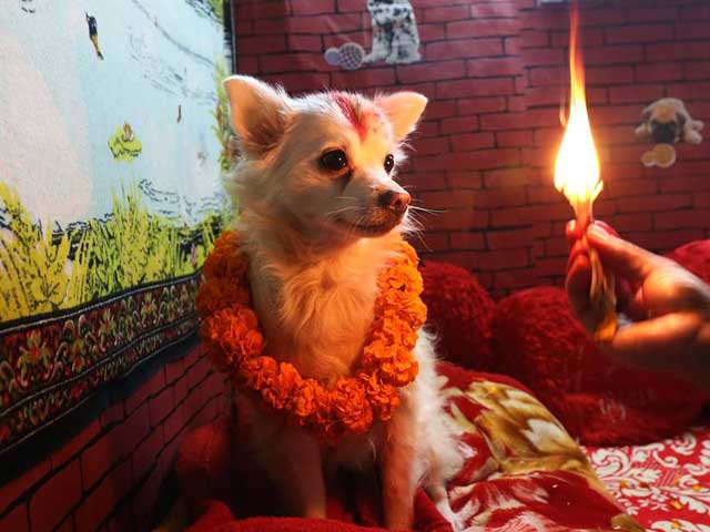 You Will Be Surprised To Know How Other Countries Celebrate Diwali