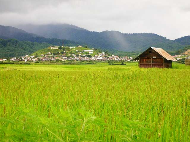 Feast With The Tribes At Ziro In Arunachal Pradesh
