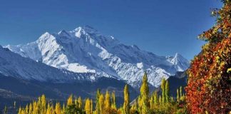 Four Most Romantic Destinations In Kashmir