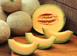 Why Is Musk Melon, The Ultimate Summer Fruit?