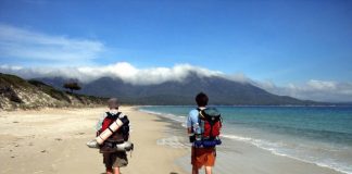 Here’s Why You Should Not Miss A Beach Trek In Your Travel Plans