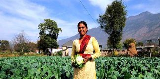 Here’s Why Organic Farming Is Trending In India