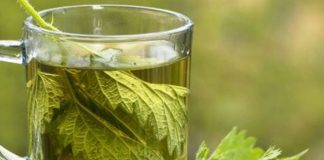 What Are The Health Benefits Of Having Nettle Tea?
