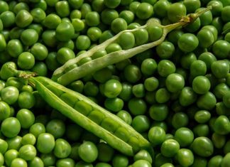 From Starter To Dessert Only With Green Peas