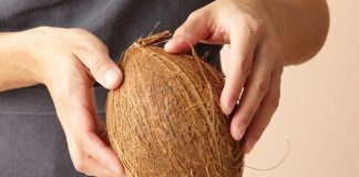 Coconut Shells Pricier Than Petrol? Amazon Says So!