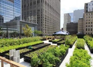 The Need For Urban Farming